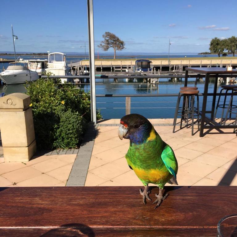 Mandurah Quay Resort Exterior photo